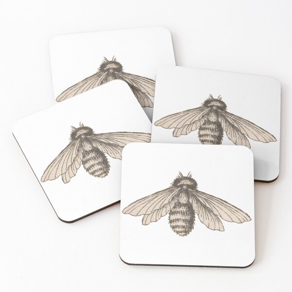 Artikelvorschau, Antike Bienenzeichnung, Entomologie Illustration entworfen und verkauft von HawthorneFlame.