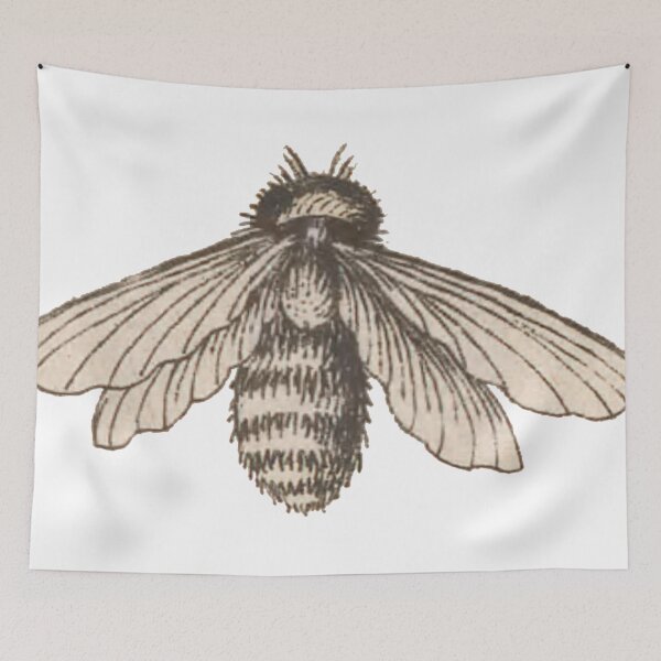 Item preview, Antique Bee Drawing, Entomology Illustration  designed and sold by HawthorneFlame.