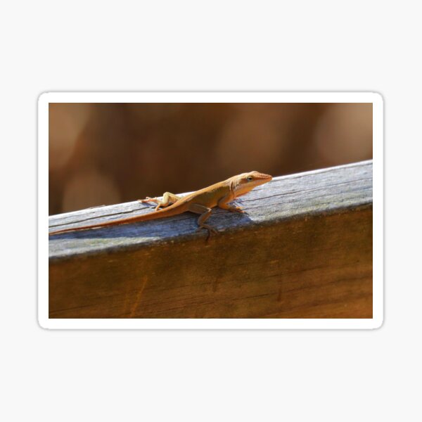 Item preview, Green anole  designed and sold by Parks and X.