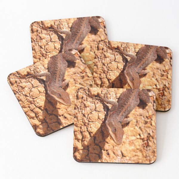 Item preview, Anole designed and sold by Parks and X.