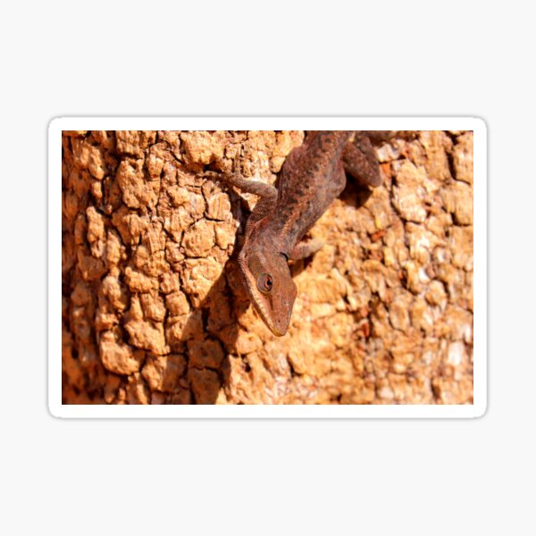Item preview, Anole designed and sold by Parks and X.