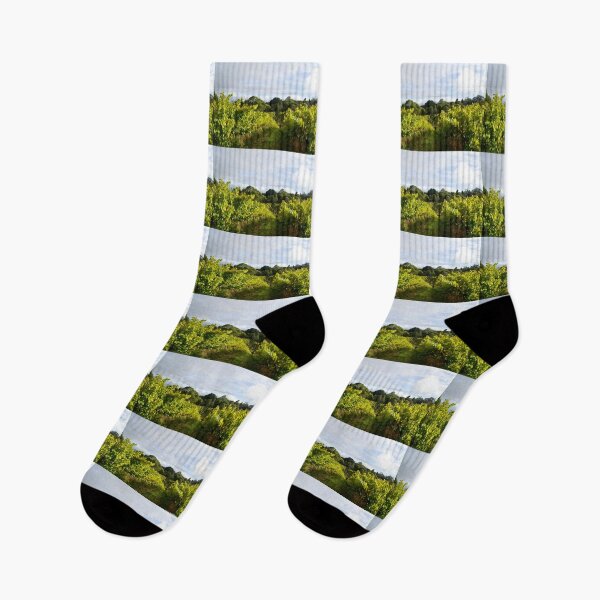 Item preview, Vineyard by Adelaide artist Avril Thomas at Magpie Springs designed and sold by MagpieSprings.