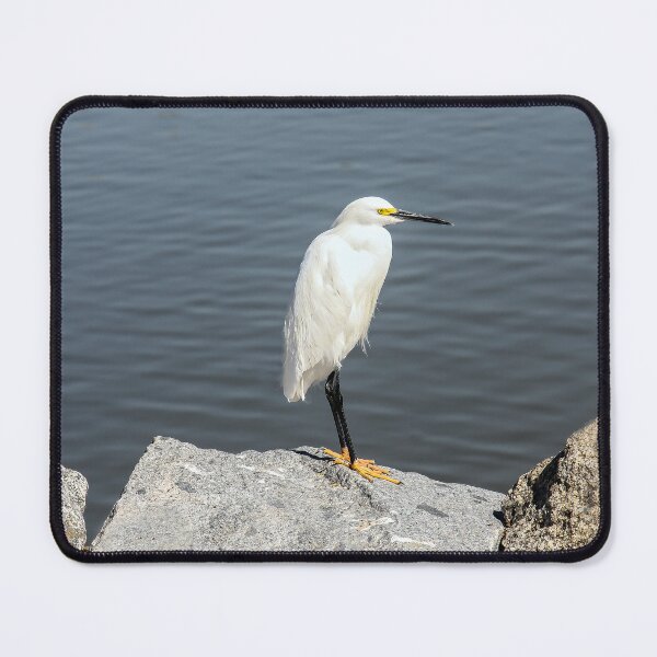 Item preview, Where is Everybody? designed and sold by heatherfriedman.