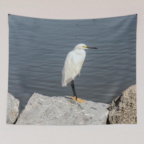Item preview, Where is Everybody? designed and sold by heatherfriedman.