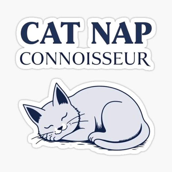 Aperçu de l'œuvre Connaisseur de sieste créée et vendue par VDprinting.