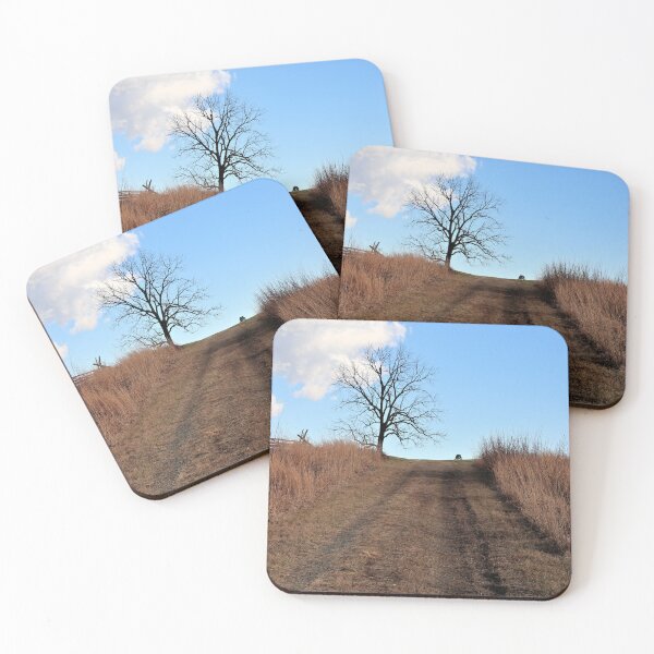 Item preview, Barren Path designed and sold by JulieMaxwell.