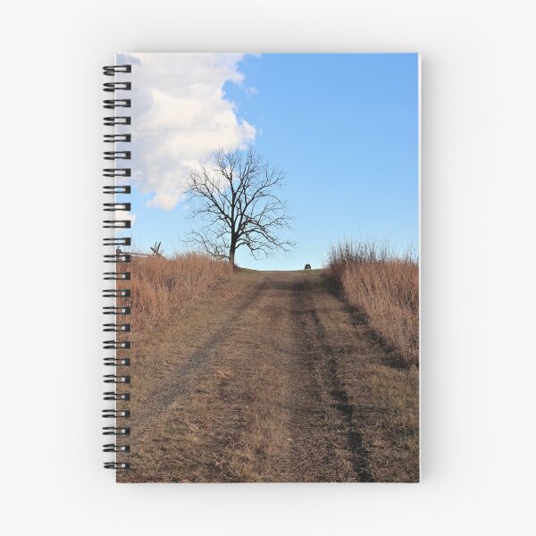 Item preview, Barren Path designed and sold by JulieMaxwell.