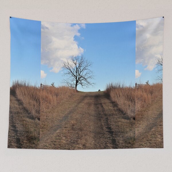 Item preview, Barren Path designed and sold by JulieMaxwell.