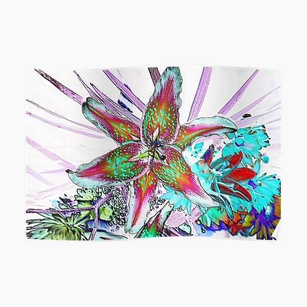 BURSTING STARGAZER Poster