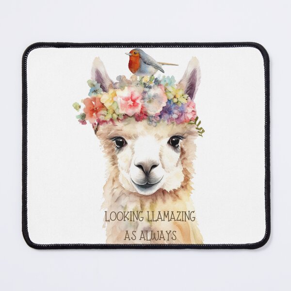 Item preview, LOOKING LLAMAZING AS ALWAYS designed and sold by DanaTees.