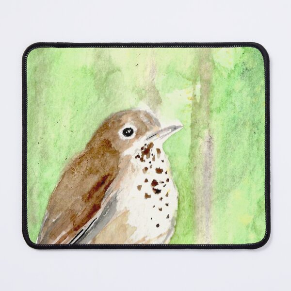 Item preview, Hermit Thrush designed and sold by herongirlart.