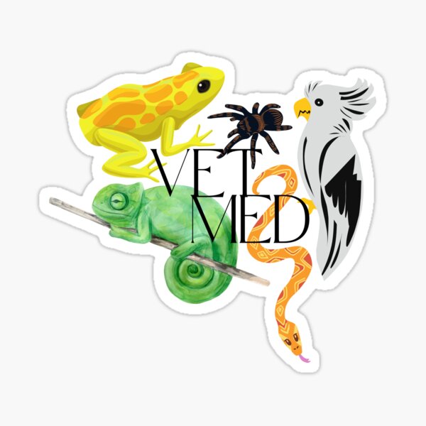 Item preview, Exotic Vet Med Logo designed and sold by WildSideVetTech.