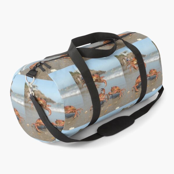 Item preview, Shell Shocked by Speed designed and sold by TreatLLC.