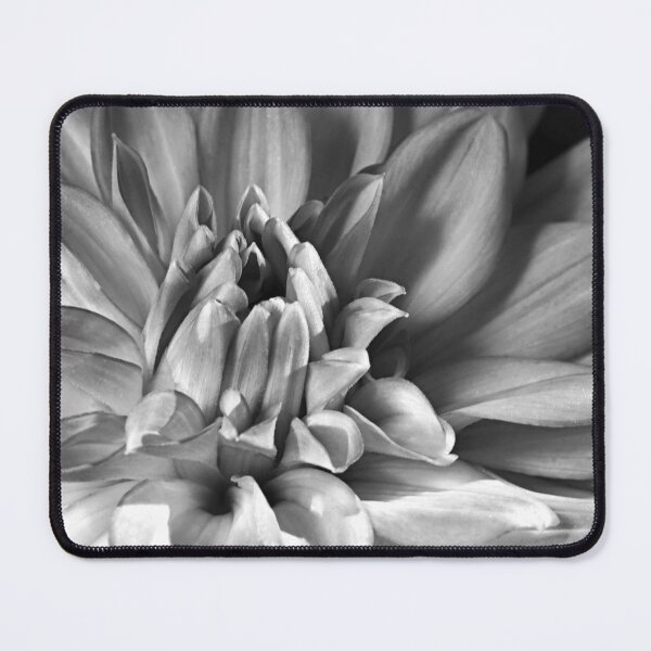 Item preview, A New Dream Dahlias Flowers designed and sold by Joy Watson - Natural Light Photography .