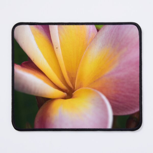 Item preview, Tropical shine: the delicacy of frangipani designed and sold by franck380.