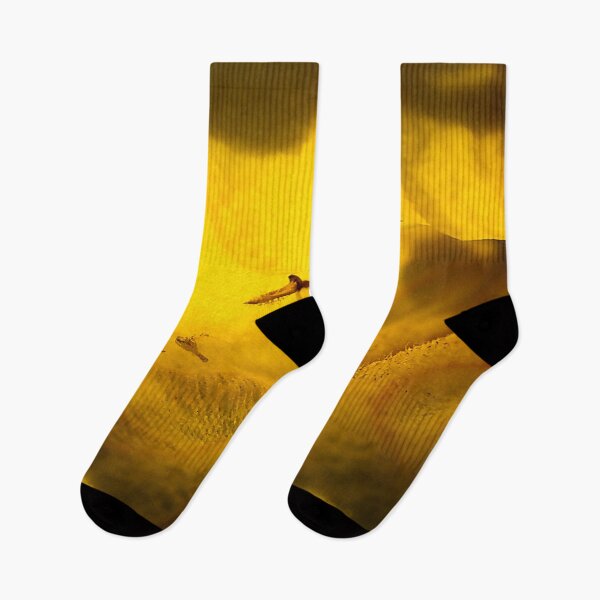 Item preview, Golden light and velvety textures designed and sold by franck380.