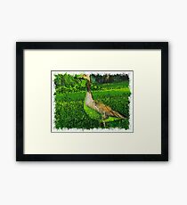 Goose Bird Framed Print