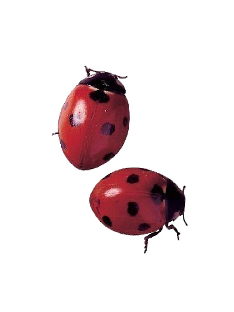 Thumbnail 4 of 4, iPhone Case, LadyBug designed and sold by sofisstickerbox.