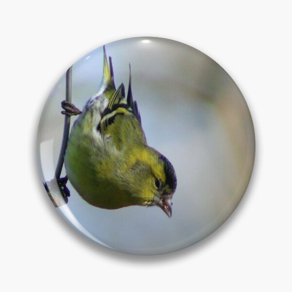 Item preview, siskin designed and sold by KathleenDawson.