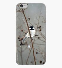 Chilly Chick-a-Dee iPhone Case