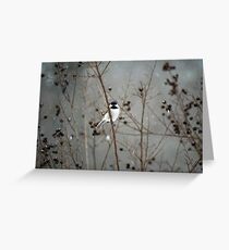 Chilly Chick-a-Dee Greeting Card