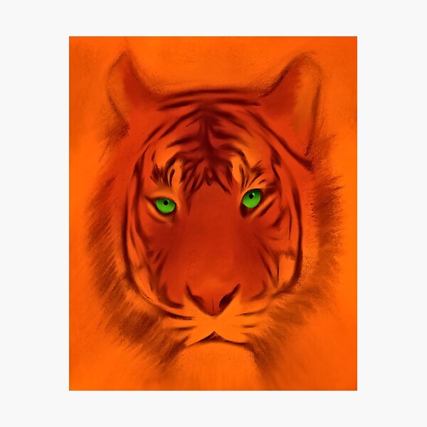Orange Tiger Photographic Print