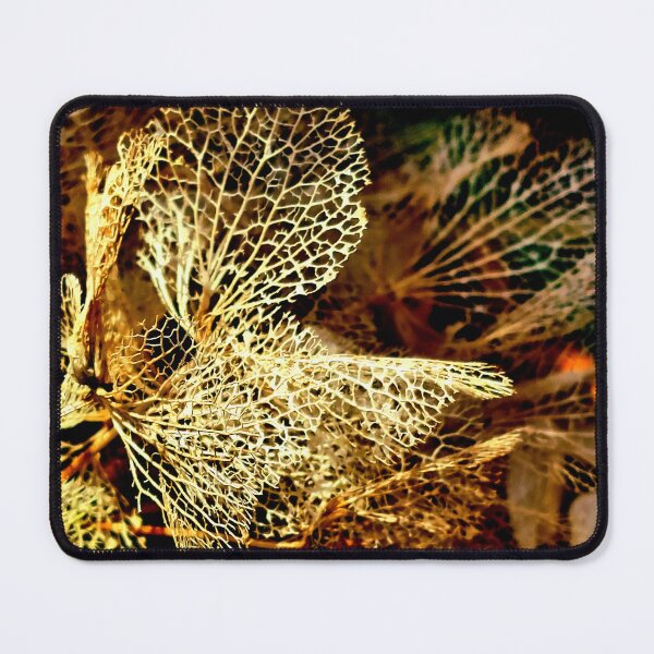Item preview, Hydrangea aesthetics designed and sold by 3March.