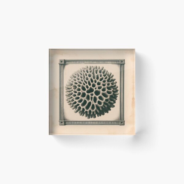 Item preview,  Organic Symmetry in Frame designed and sold by MVXX.