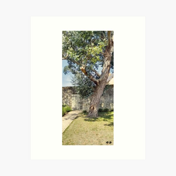 A tree in Locquirec Art Print