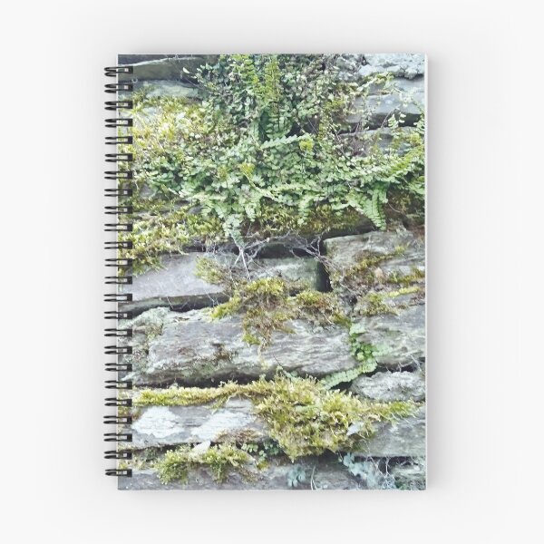 Item preview, German Moss Wall designed and sold by Leuil.