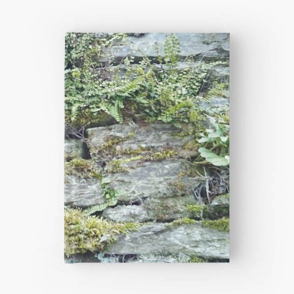 Item preview, German Moss Wall designed and sold by Leuil.