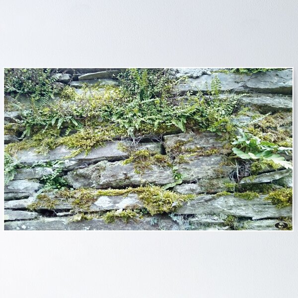 Item preview, German Moss Wall designed and sold by Leuil.
