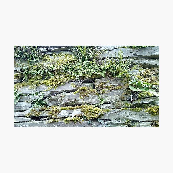 Item preview, German Moss Wall designed and sold by Leuil.