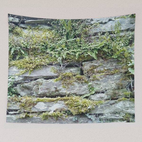 Item preview, German Moss Wall designed and sold by Leuil.