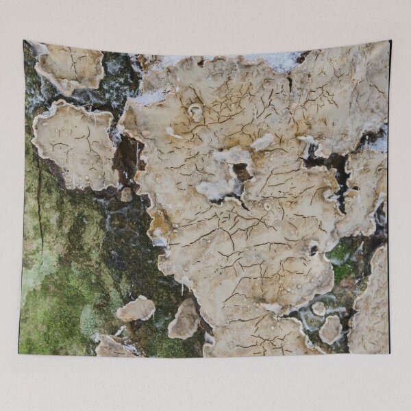Item preview, Bleeding Broadleaf Crust. Seitseminen designed and sold by Jouko Lehto Photography.