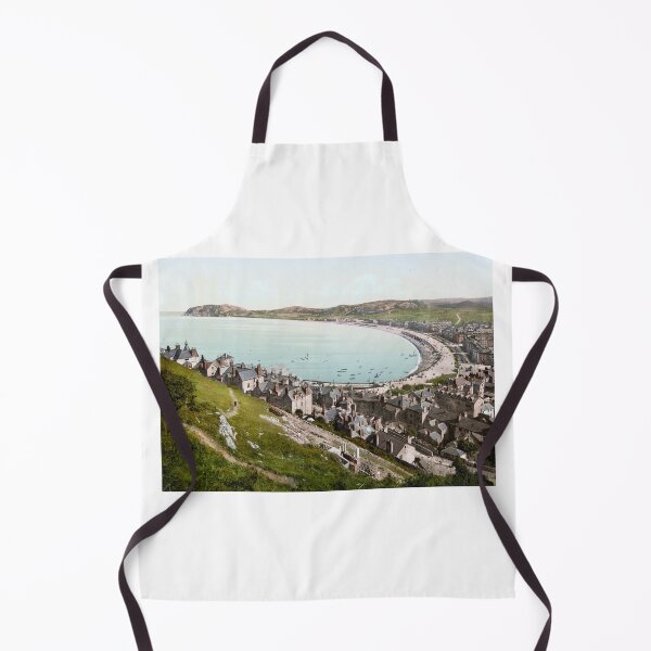 Item preview, Llandudno designed and sold by 19th Century in Color.