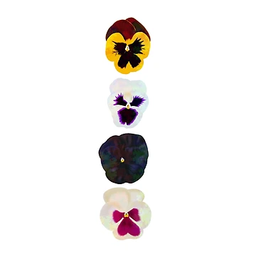 Artwork thumbnail, 4 Stack by AggroPixie