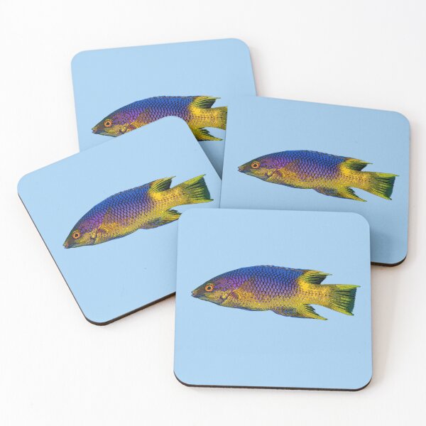 Item preview, Spanish Hogfish Color Design  designed and sold by designsasstultd.