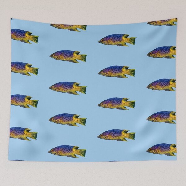 Item preview, Spanish Hogfish Color Design  designed and sold by designsasstultd.