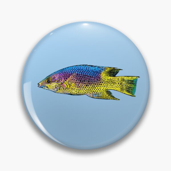 Item preview, Spanish Hogfish Black Alternate Design  designed and sold by designsasstultd.