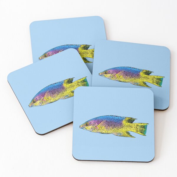 Item preview, Spanish Hogfish Black Alternate Design  designed and sold by designsasstultd.