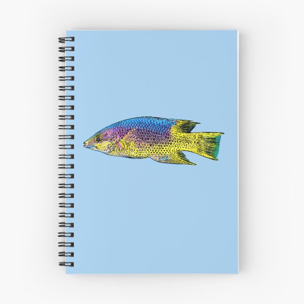 Item preview, Spanish Hogfish Black Alternate Design  designed and sold by designsasstultd.