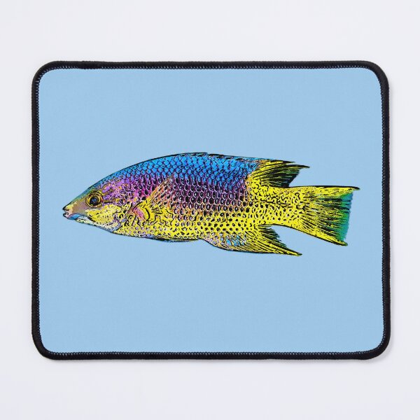 Item preview, Spanish Hogfish Black Alternate Design  designed and sold by designsasstultd.