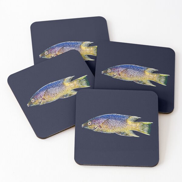 Item preview, Spanish Hogfish White Alternate Design  designed and sold by designsasstultd.