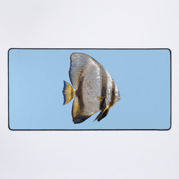Item preview, Teira Batfish Color Design designed and sold by designsasstultd.