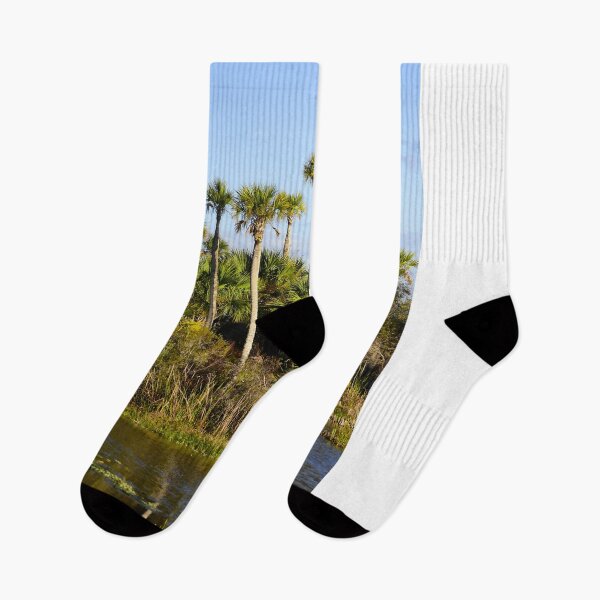 Item preview, Orlando Wetlands Park Landscape designed and sold by MercerImages.