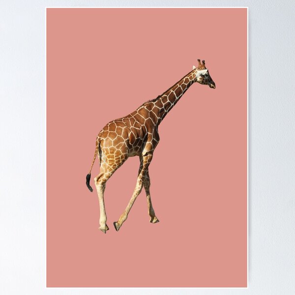 Item preview, Life's A Zoo - Jirafa designed and sold by EKeener.