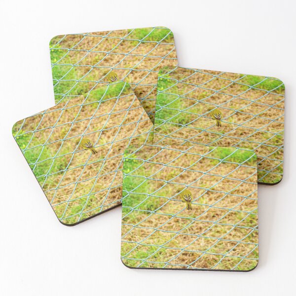 Item preview, Bird in the net designed and sold by manoloshoping.
