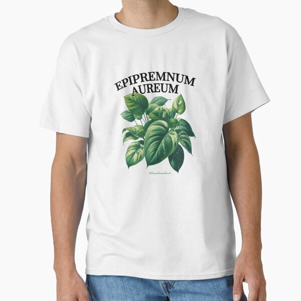 Aperçu de l'œuvre Epipremnum aureum botanique créée et vendue par BUABUABUA.