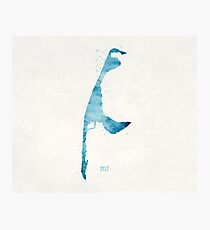 Sylt Photographic Print